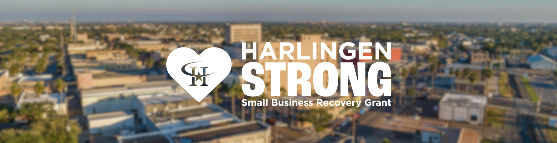 Revitalize Harlingen Form